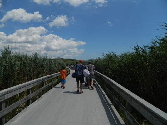 Boardwalk to beach and nature trail